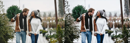 12 x Lightroom Presets, Tree Farm Presets, Christmas Presets - Image 10