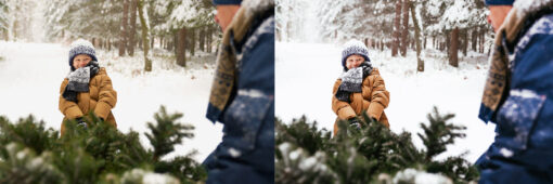 12 x Lightroom Presets, Tree Farm Presets, Christmas Presets - Image 11