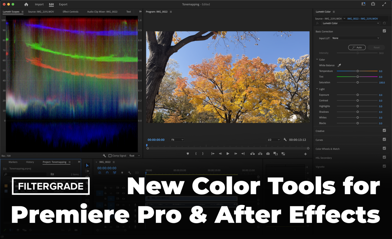 Automatic Tone Mapping and New Color Workflows Come to Premiere Pro and