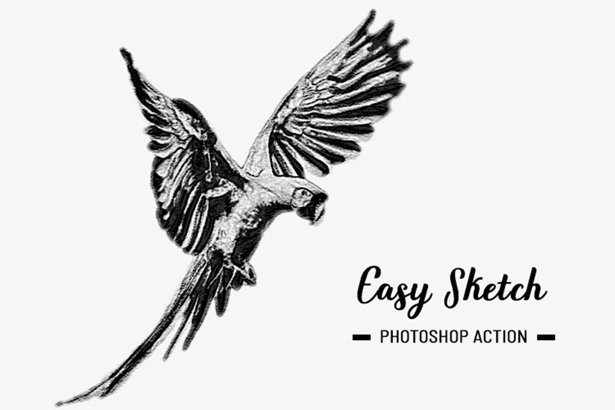 Easy Sketch Photoshop Action FilterGrade
