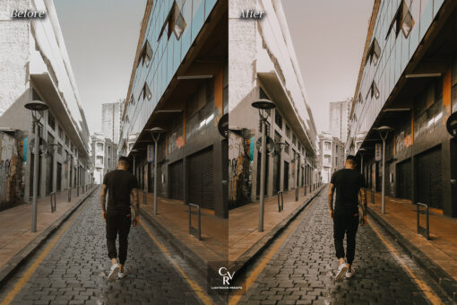 10 Elegance Lightroom Presets - Image 4