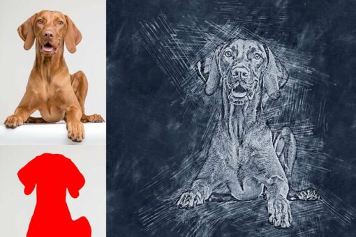 Realistic Charcoal Drawing - Image 6