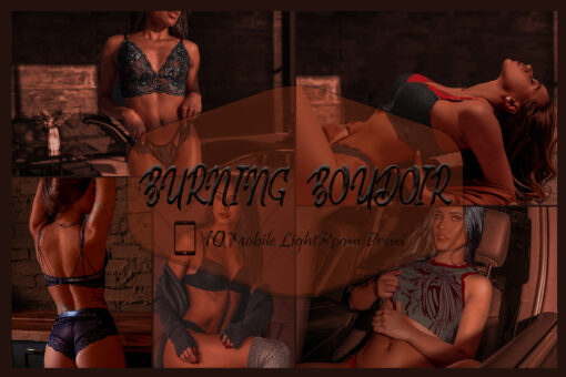 10 Mobile Lightroom Presets, Burning Boudoir Preset, Burnt Tan