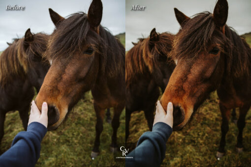10 Western Lightroom Presets - Image 6