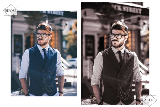 12 Black Swan Lightroom Presets, Moody Mobile Preset, Noir Gray - Image 4
