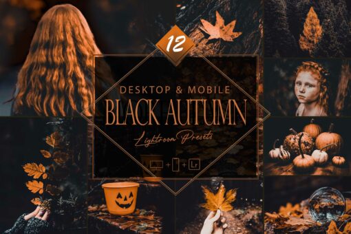 12 Black Autumn Lightroom Presets, Moody Fall Mobile Preset,