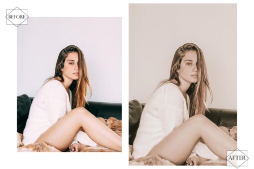 12 Pale Brown Lightroom Presets, Soft Mobile Preset, Brownie - Image 4