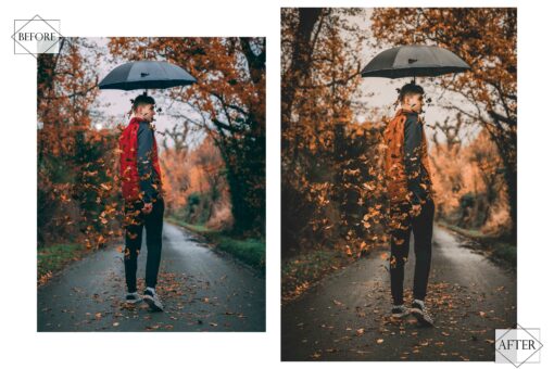 13 Popular Autumn Lightroom Presets, Earthy Mobile Preset, Orange - Image 4