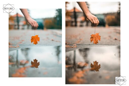 13 Popular Autumn Lightroom Presets, Earthy Mobile Preset, Orange - Image 6