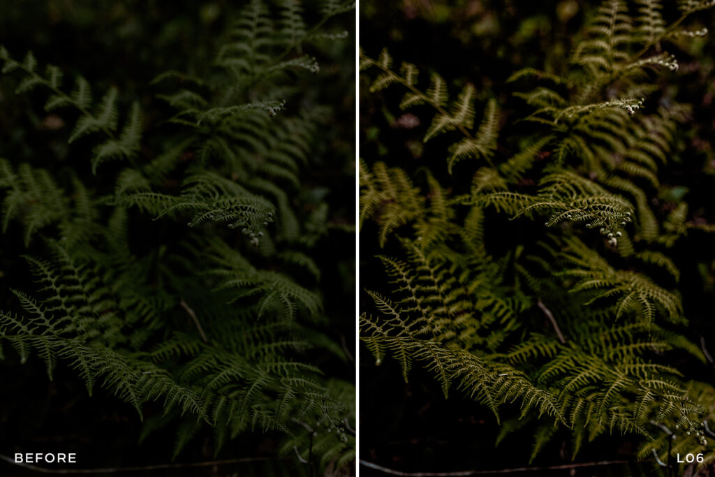 Leica Lightroom Presets FilterGrade