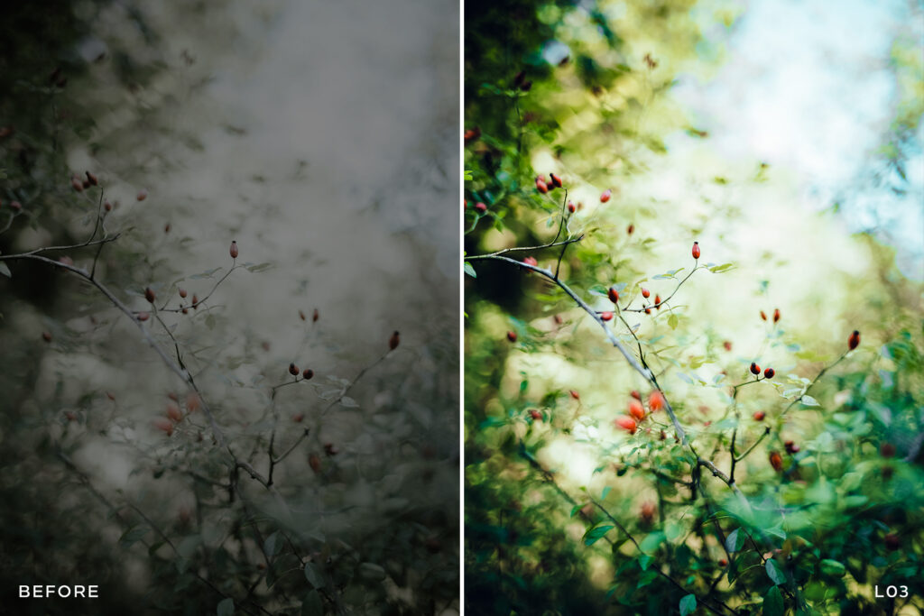 Leica Lightroom Presets FilterGrade
