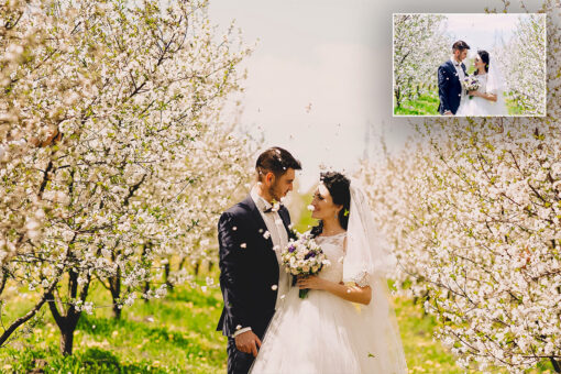 Premium Wedding Lightroom Presets - Image 5