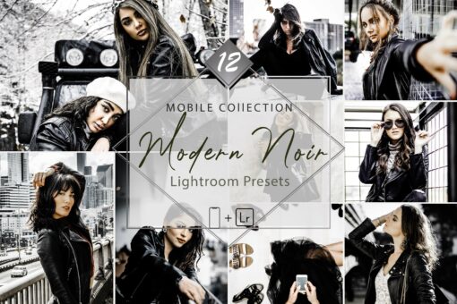 12 Mobile Lightroom Presets, Modern Noir Mobile Preset, Winter