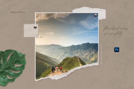 Mood Board Photo Templates - Image 8