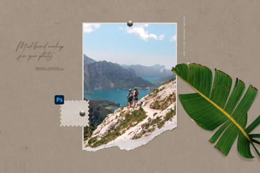 Mood Board Photo Templates - Image 6