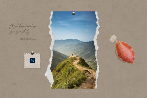 Mood Board Photo Templates - Image 5