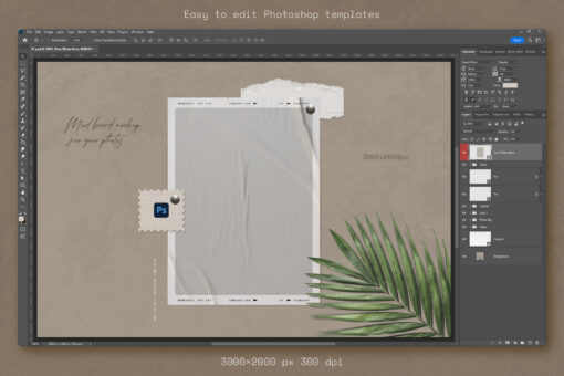 Mood Board Photo Templates - Image 4
