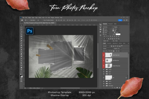 Torn Photo Template - Image 2