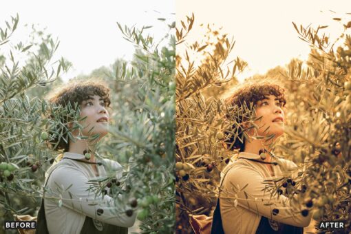 Farm Rustic Lightroom Presets: Enhance Your Rural Photography - Image 11