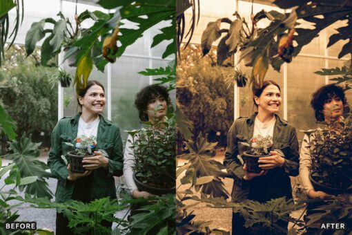 Farm Rustic Lightroom Presets: Enhance Your Rural Photography - Image 21