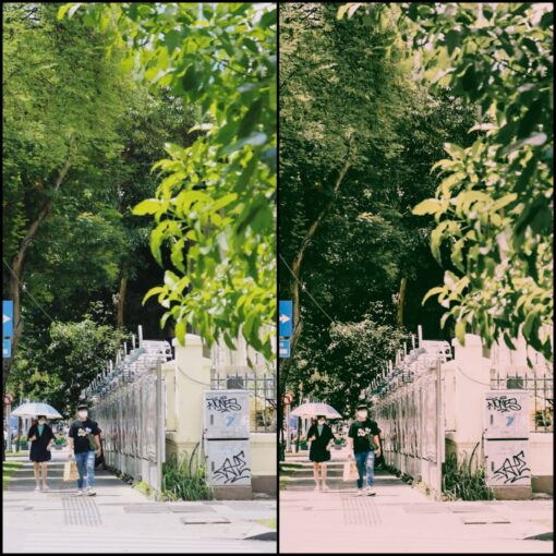 Cinematic Landscape Lightroom Preset - Image 3