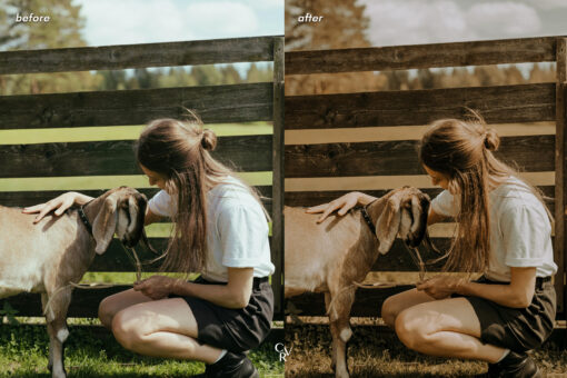 15 Warm and Moody Lightroom Presets - Image 6