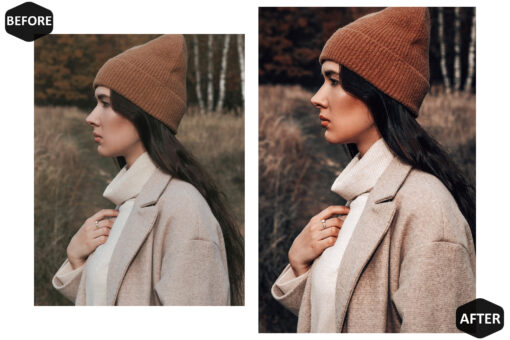 12 Photoshop Actions, Harvest Ps Action, Autumn ACR Preset, Moody - Image 2