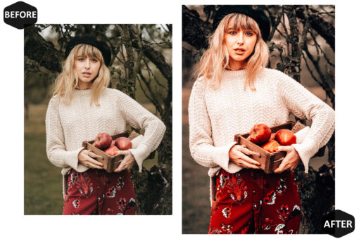 12 Photoshop Actions, Harvest Ps Action, Autumn ACR Preset, Moody - Image 8