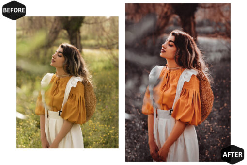 12 Photoshop Actions, Harvest Ps Action, Autumn ACR Preset, Moody - Image 7