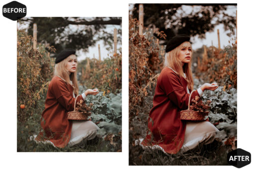 12 Photoshop Actions, Harvest Ps Action, Autumn ACR Preset, Moody - Image 6