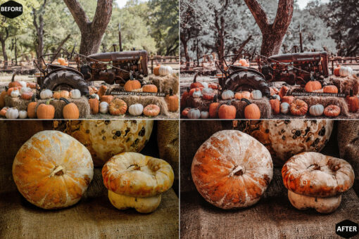 12 Photoshop Actions, Harvest Ps Action, Autumn ACR Preset, Moody - Image 5