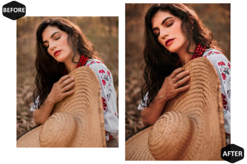 12 Photoshop Actions, Harvest Ps Action, Autumn ACR Preset, Moody - Image 4