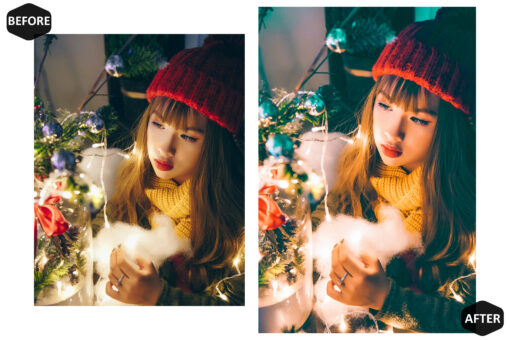 12 Christmas Photoshop, Chic Xmas Ps Action, Lux Holiday ACR - Image 10