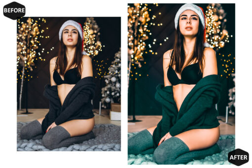 12 Christmas Photoshop, Chic Xmas Ps Action, Lux Holiday ACR - Image 3