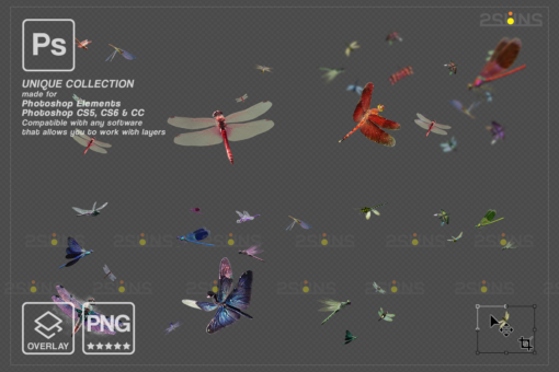 Dragonfly photo overlay, Gold Fireflies Overlays - Image 2
