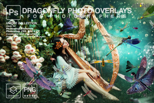 Dragonfly photo overlay, Gold Fireflies Overlays - Image 4