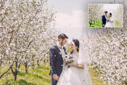 Pro Wedding Presets - Image 6