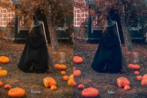 Enhance videos with 30 Vampire Vision LUTs. Ideal for autumn holidays and filmmakers. Transform footage with horror, gothic, and dark tones. Perfect for spooky witches and fall events.