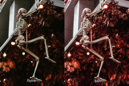 Transform amateur footage into professional videos with 30 Vampire Vision LUTs. Ideal for spooky photography, outdoor portraits, and fall events. Create stunning dark and gothic themes.