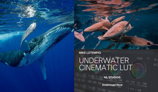 Underwater SLOG3 LUT - Sony film