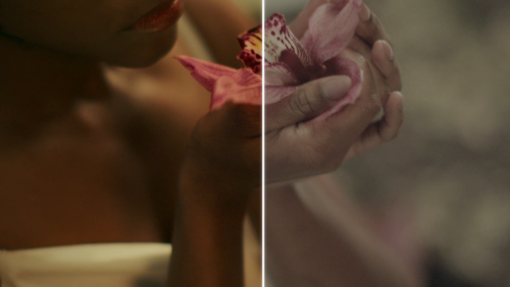 Cinematic Video LUT Example