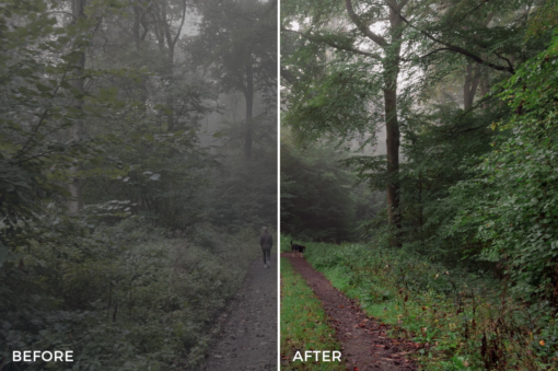 iPhone Creative LUTs – Cinematic Looks for Your iPhone Footage - Image 2