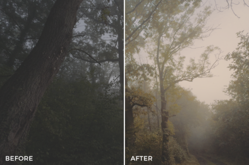 iPhone Creative LUTs – Cinematic Looks for Your iPhone Footage - Image 3