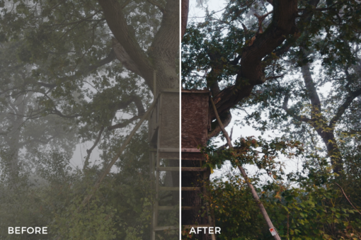 iPhone Creative LUTs – Cinematic Looks for Your iPhone Footage - Image 5