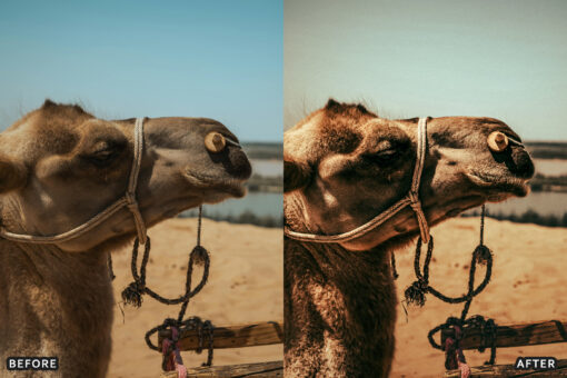 AI-Optimized Desert Lightroom Presets - Image 2