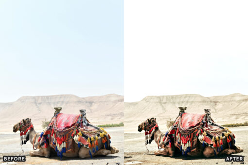 AI-Optimized Desert Lightroom Presets - Image 8