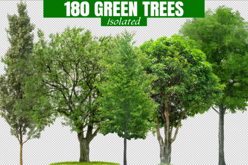 180 Green Trees PNG, Cut Out Isolated Nature Forest Photo Overlay