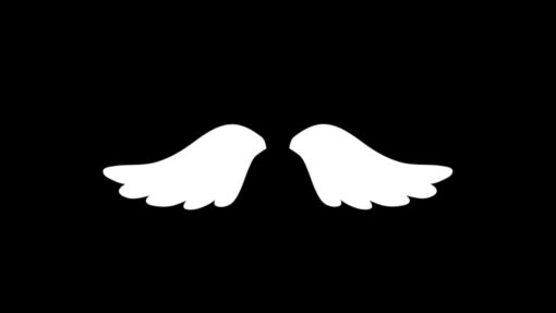 Angel transitions pack. Alpha Channel