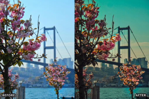 AI-Optimized Cinematic Dark Street Lightroom Presets - Image 6