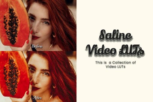 Beach sunset video transformed with vintage grading from Saline LUTs.